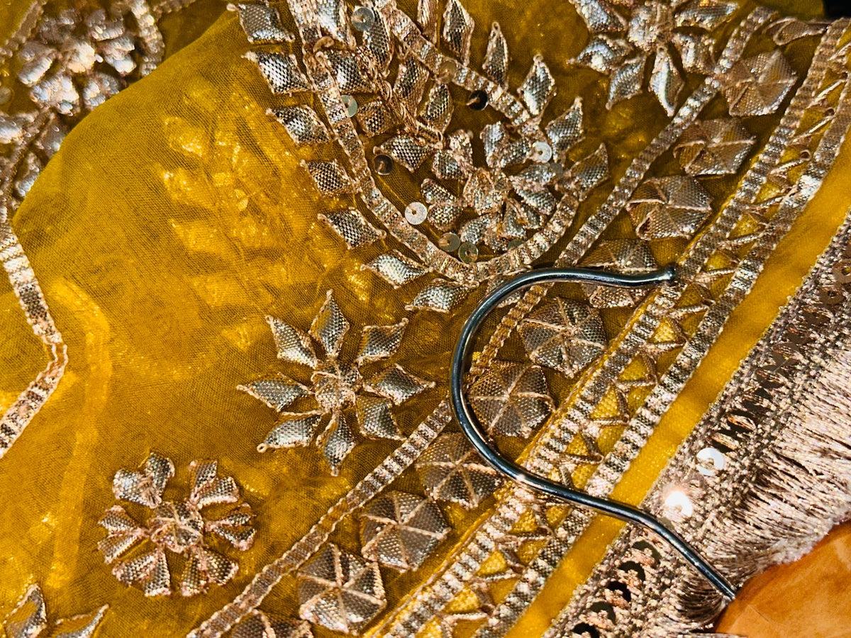 The Ethereal Organza Masterpiece | Artistic Gotta Designing