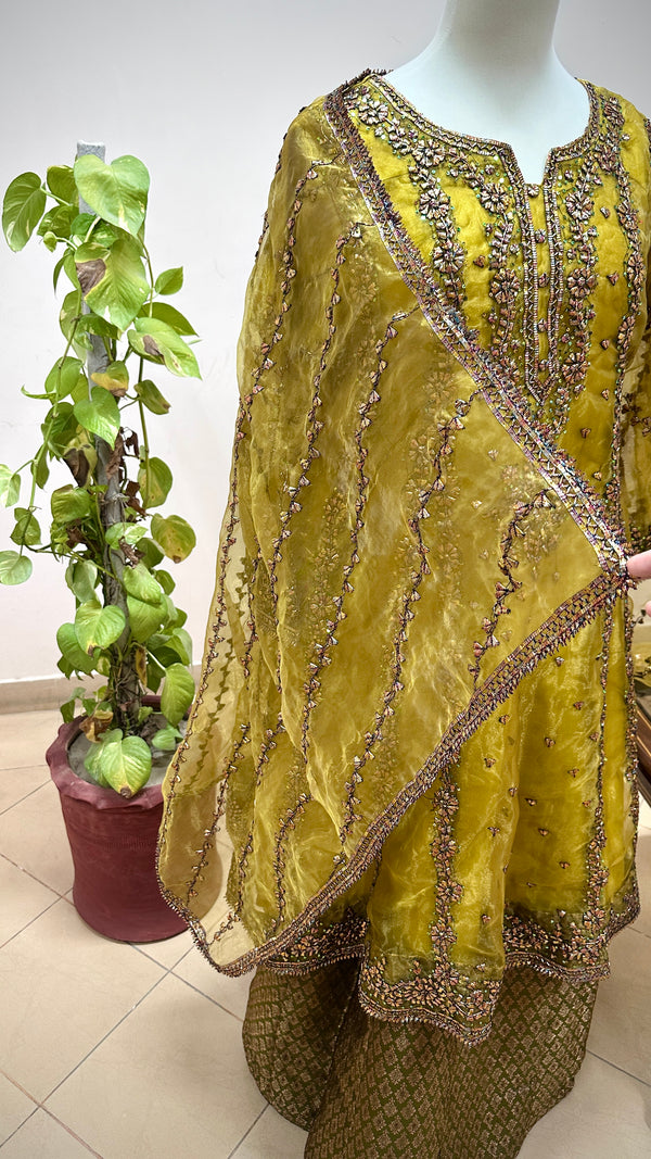 ZIRFI – 3Pc Stitched Organza Fabric with Gotta Work